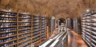 La Regione stanzia 2 milioni per le cantine che investono su innovazione e qualità