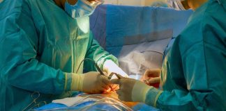 Prima mondiale, impiantata corda tendinea bioingegnerizzata su modello di cuore animale