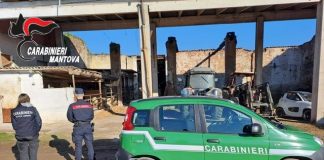 Acquanegra sul Chiese, lavori edilizi senza permesso in un’area protetta: tre denunciati