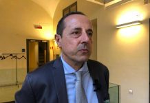 Steatosi epatica, Conforti (EpaC): “Diagnosi precoce, cura specifica e follow-up”