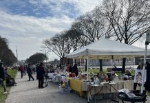 La Fiera del Broccante ritorna questa domenica al Parco Te