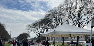 La Fiera del Broccante ritorna questa domenica al Parco Te