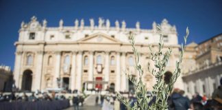 Oggi è la Domenica delle palme, cosa si celebra e perché si usano i rami d’ulivo