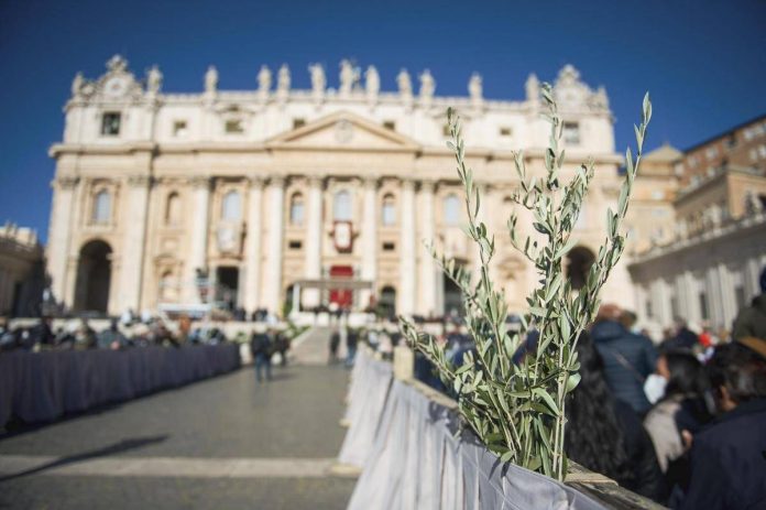 ftg_ipa64475245_domenica_delle_palme