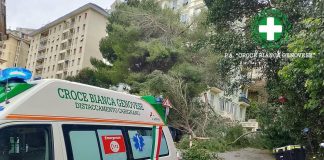 Maltempo sull’Italia, donna ferita da un ramo caduto a Genova. Grandine e pioggia a Roma, traffico in tilt