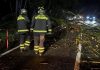 Maltempo con alberi caduti sulle strade: notte di lavoro per i Vigili del Fuoco