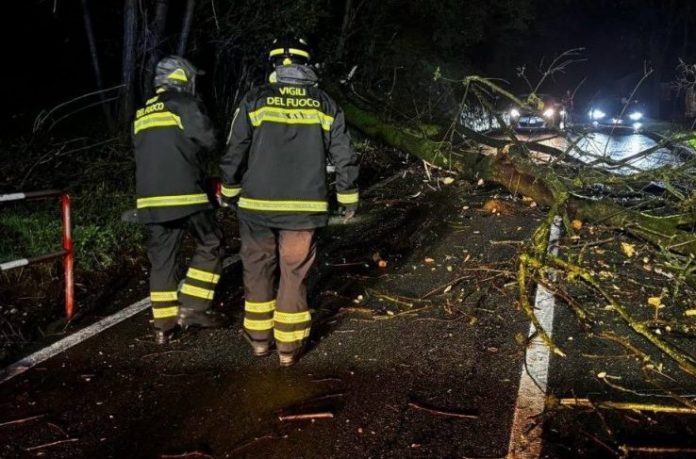 vigili del fuoco notte alberi caduti