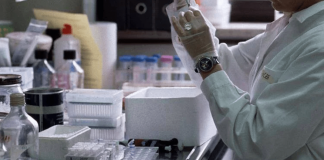 Tumore al canale anale, via libera in Europa a retifanlimab con chemioterapia in prima linea