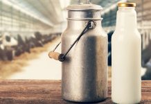 Accordo sul prezzo del latte: Mantova terza in Italia per produzione