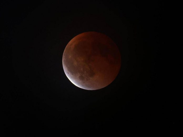 luna_rossa_fg_ipa