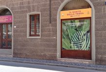 Mantova, conto alla rovescia per il mercato coperto di Campagna Amica: apertura entro l’estate