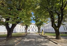 Viadana, un mese di eventi al MuVi: aprile tra mostre, incontri e teatro