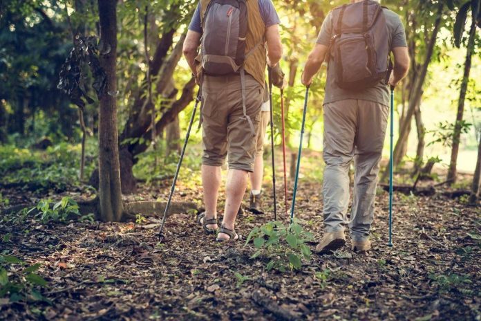 nordic_walking_123rf