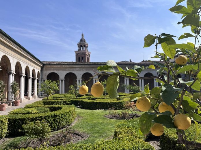 palazzo ducale mantova giardinojpg