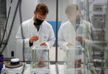 Carcinoma polmonare, ok Ema a lurbinectedina e immunoterapia in prima linea