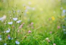 Primavera, i rischi del primo sole, la dermatologa: “Può anche scottare, abituare la pelle in modo progressivo”