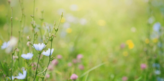 Primavera, i rischi del primo sole, la dermatologa: “Può anche scottare, abituare la pelle in modo progressivo”