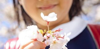 È il primo giorno di primavera, ecco perché l’equinozio cade oggi 20 marzo