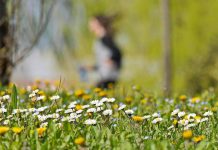 L’equinozio di primavera non cade il 21 marzo, ecco quando inizia la nuova stagione