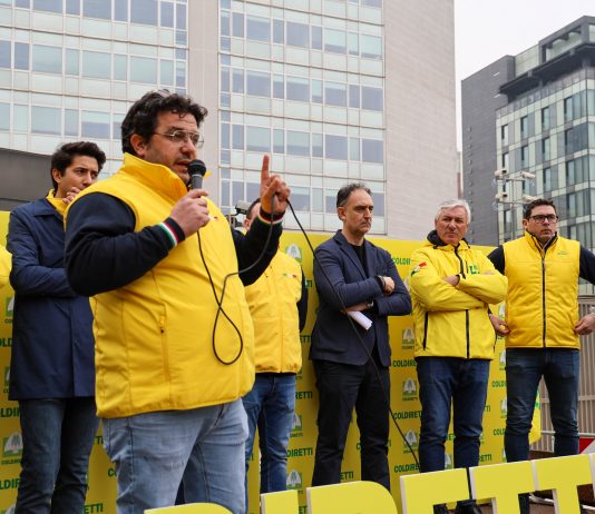 Stop alla carne brasiliana: l’Ue introduce la reciprocità sulle importazioni alimentari