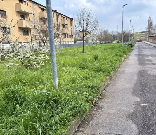 Suzzara, avviata la riqualificazione dell’area ex Marocchi tra pulizia e nuovi controlli