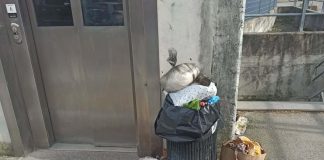 Poggio Rusco, stretta sui rifiuti abbandonati: cinque multe da 600 euro grazie alle telecamere