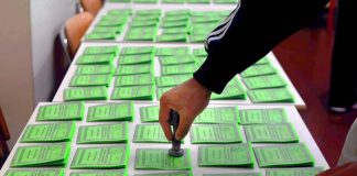 Referendum, nel Mantovano affluenza record: quasi al 62%