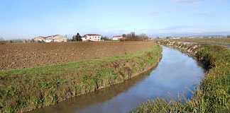 Castiglione, riqualificazione ambientale e consolidamento vaso Gozzolina: dalla Provincia 50mila euro