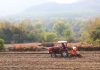 Cina, produzione di cereali in crescita anche nel 2026 secondo le previsioni