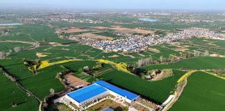 Cina, le industrie legate alle zone rurali in crescita nel primo trimestre