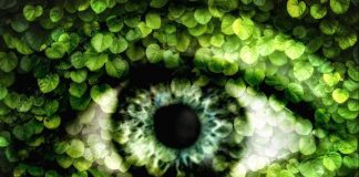 Allergie, non solo pollini nemici degli occhi: l’inquinamento aumenta fino a 9 volte il rischio di congiuntivite