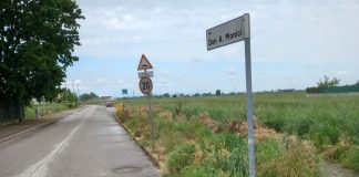 A Bondeno scoppia il caso del verde: residenti e Comune si confrontano