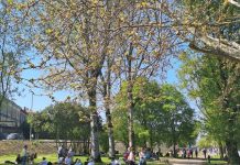 Ecosistema Urbano 2026, Mantova prima in Italia per qualità ambientale