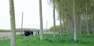 A Pomponesco un viaggio tra arte e scienza per la Giornata della Terra