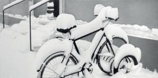 Suzzara “L’anima delle cose”: la pittura iperrealista di Paolo Pasotti in mostra