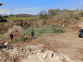 Ponti, 500 metri cubi di rifiuti speciali in area sottoposta a vincolo: denunciato imprenditore