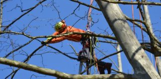 San Benedetto Po, senso unico alternato sulla Strada Romana Nord