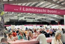 Mantova celebra il gusto: al PalaUnical torna la mostra “Risotti e Lambruschi”