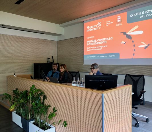 Zanzare, Mantova osservata speciale: isole di calore favoriscono la proliferazione