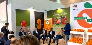 Organizzazioni produttori: nostro ruolo sempre più centrale in mercato globale