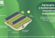 Renewable Consulting, realtà pioniera della transizione energetica, al fianco di IDA Summit 2026