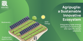 Renewable Consulting, realtà pioniera della transizione energetica, al fianco di IDA Summit 2026
