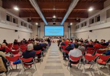 Avis Mantova, serata sulla salute del cervello: incontro su prevenzione e invecchiamento mentale