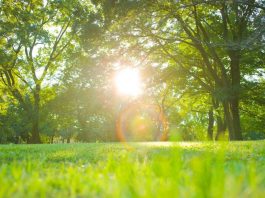 Pasqua e Pasquetta con sbalzo termico, caldo (quasi) estivo e rischio valanghe: le previsioni meteo