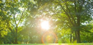 Meteo, svolta clamorosa: sole e 25°C a Pasqua e Pasquetta