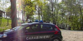 Pavia, cadavere di una ragazza trovato nei campi
