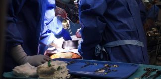 Malattia cronica da trapianto contro l’ospite, via libera Ue a belumosudil 