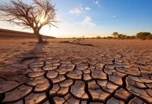 Temperature oltre la media, siccità ed eventi estremi: allarme clima in Europa