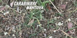 Ponti, getta un involucro dall’auto: cittadino chiama il 112: sequestrati 500g hashish