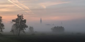 “In Luce. Leggermente fuori fuoco” chiude con due spettacoli di giovani del territorio mantovano